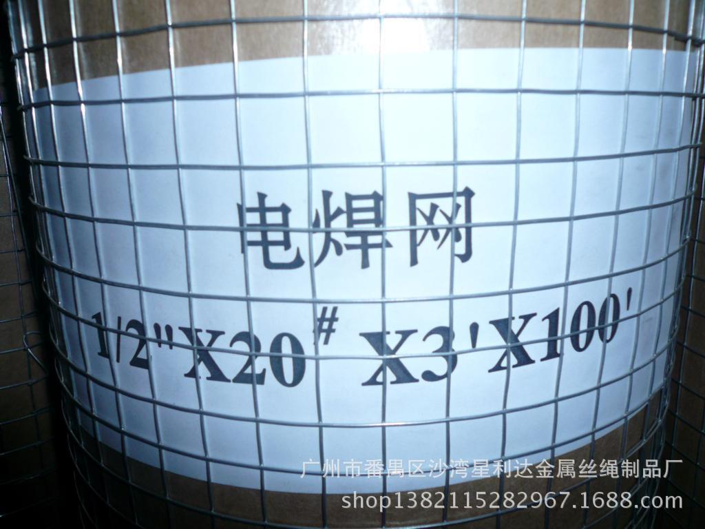 热镀锌电焊网1