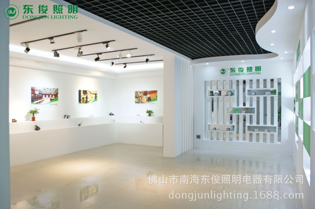 东俊照明LED天花灯 筒灯厂家 (10)