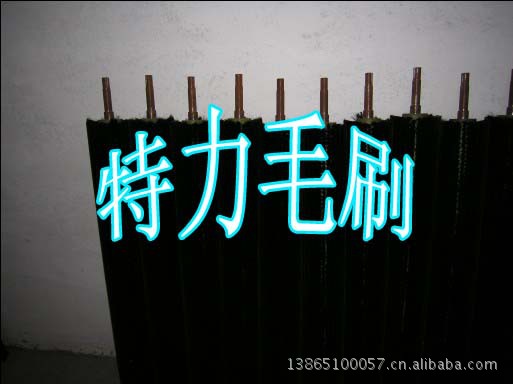 毛刷辊6