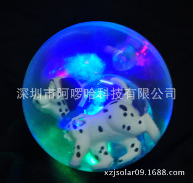 DSC_0064_调整大小