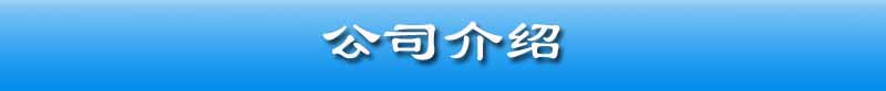 公司介绍