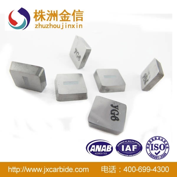YG6.jpg_.webp