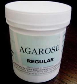 琼脂糖;agarose(for routine use)