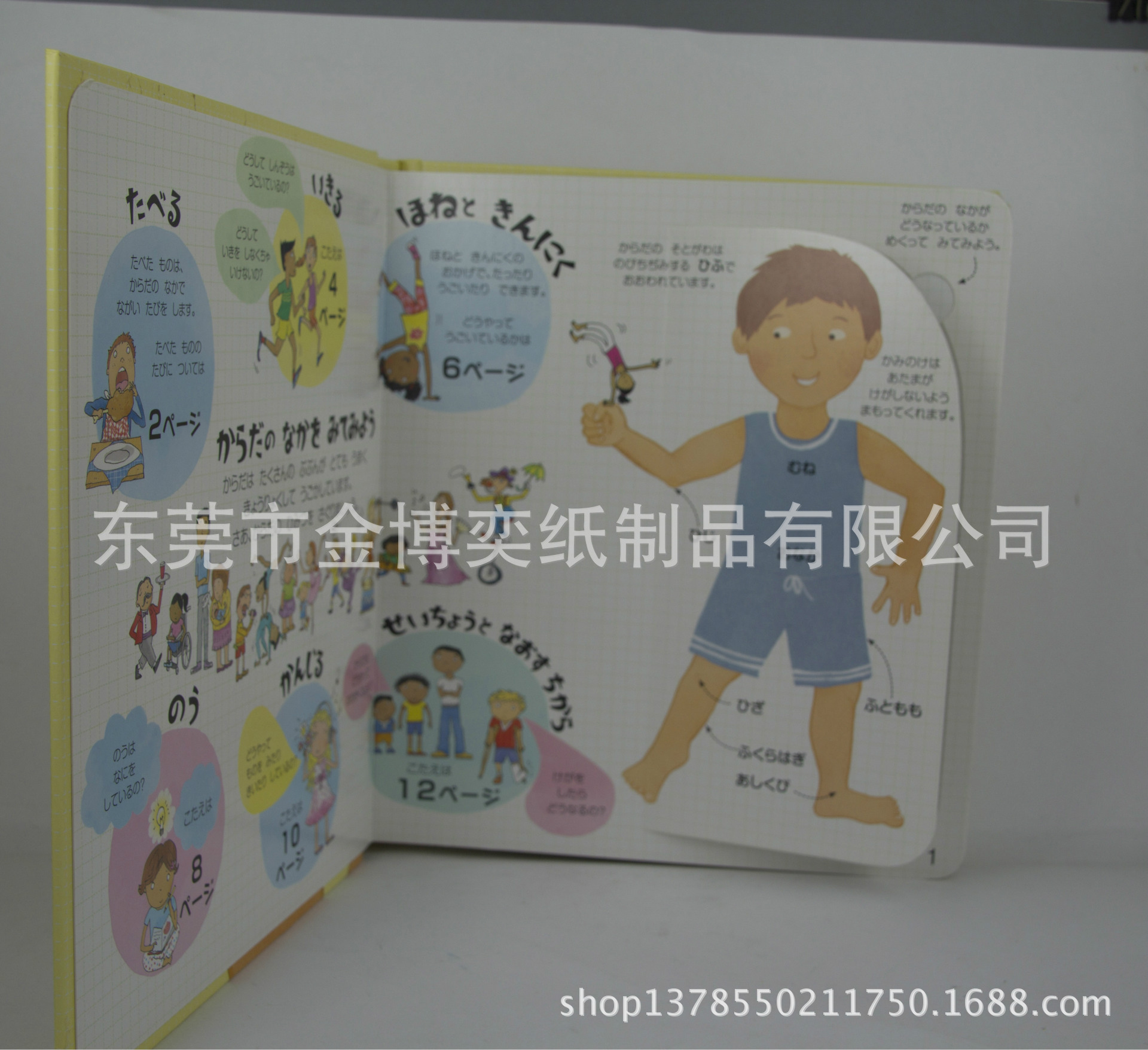 揭页书,翻翻书 53