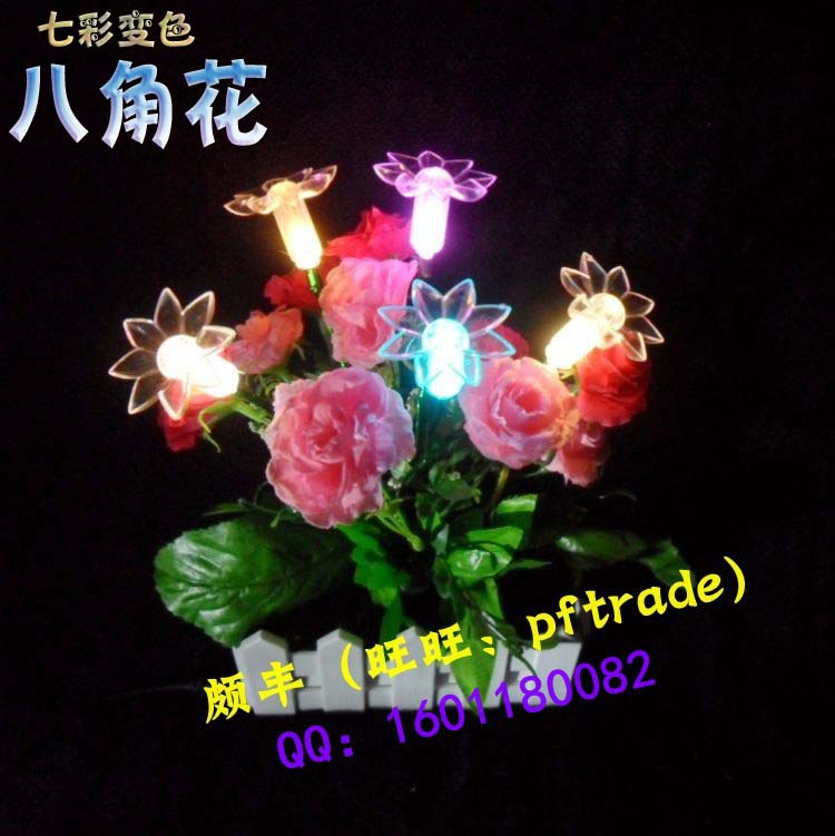 conew_conew_八角花1 拷貝