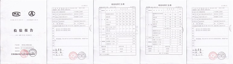 检测报告2