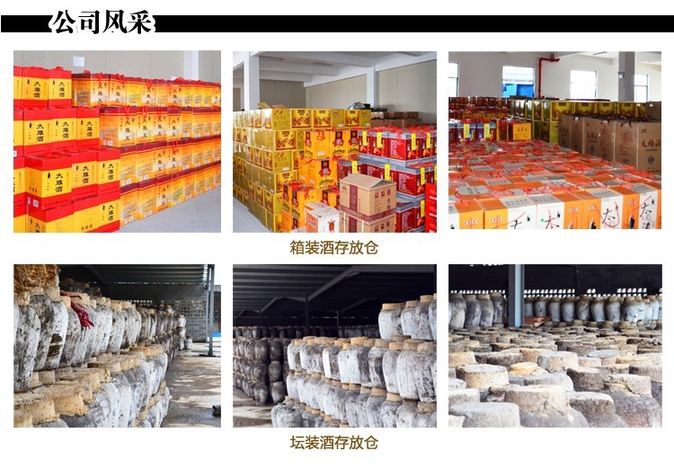 公司风采
