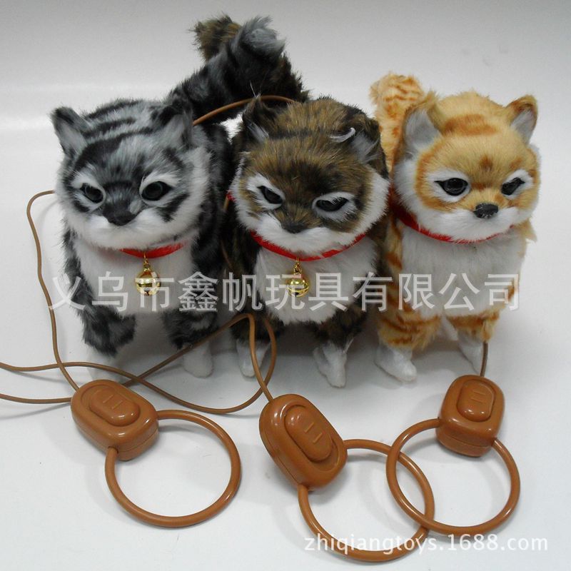 Double switch coil cat