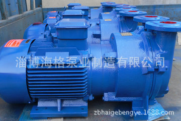 2BV-5131水环式真空泵.