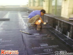 93a425a8afb1b218-53467677c60ed