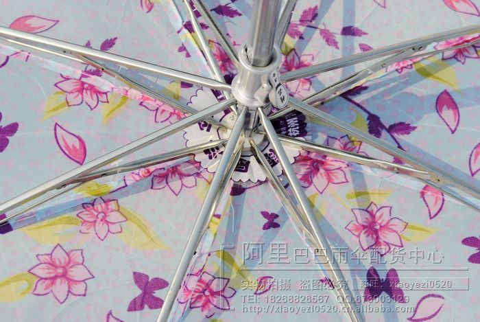 nEO_IMG__DSC0387