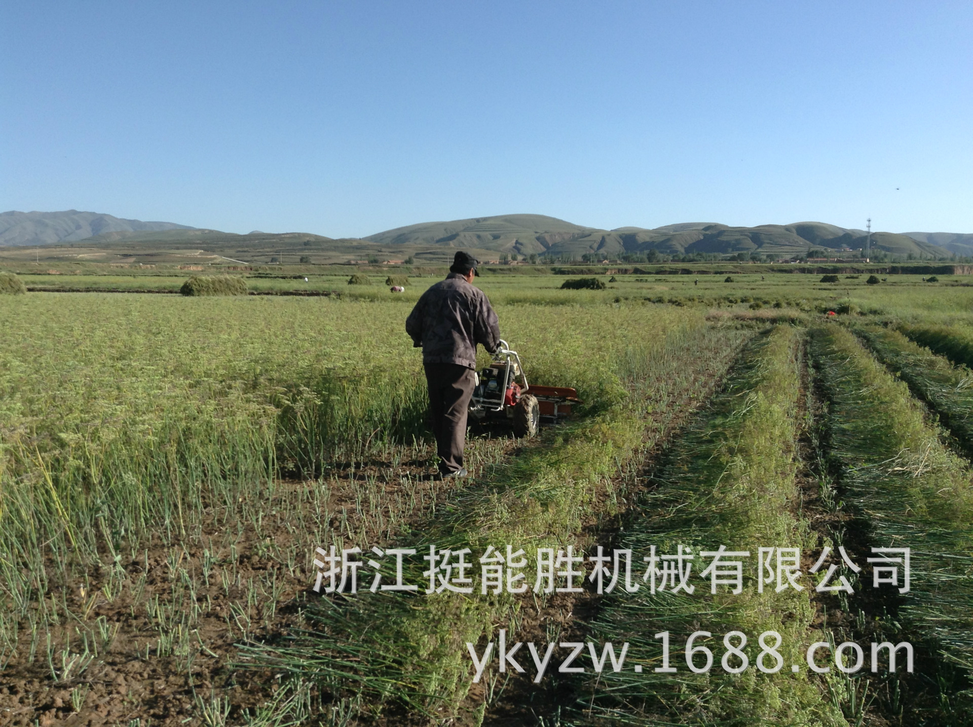 厂家供应牧草收割机4s120芦苇收割机 专利产品