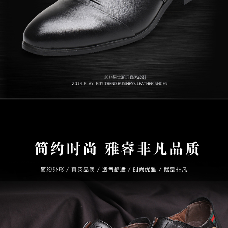 捷尼雄狮_02