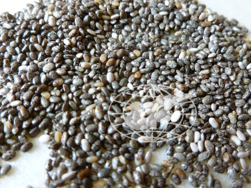 供奇雅籽 奇亚籽 chiaseed 鼠尾草籽 墨西哥进口 健康食品