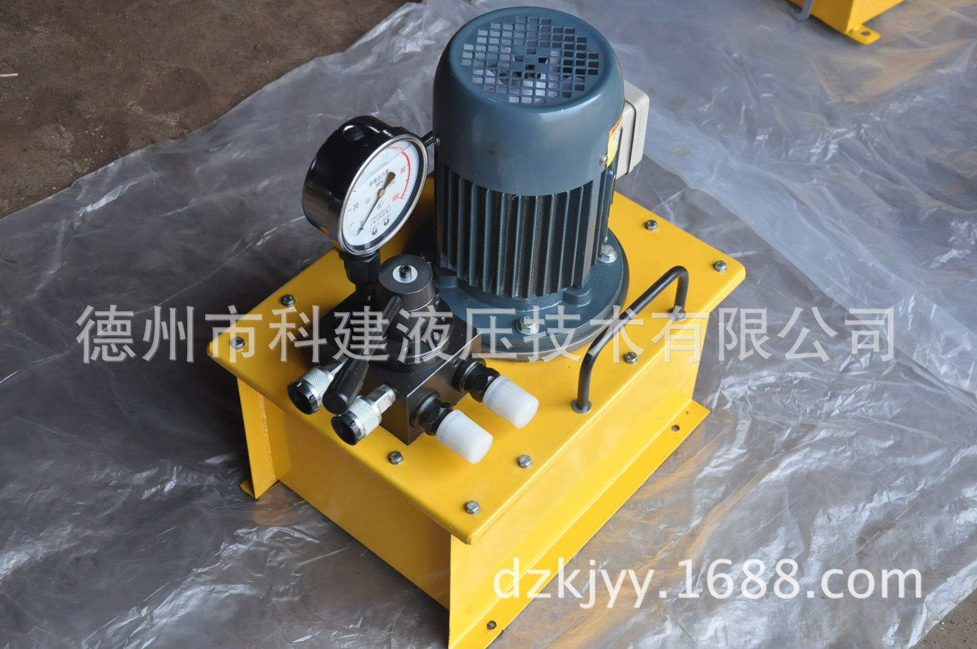 DSS型 电动泵 (4)