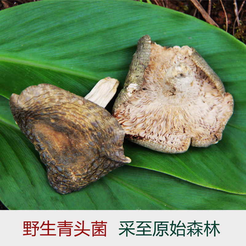 特级,云南野生青头菌干货批发1kg