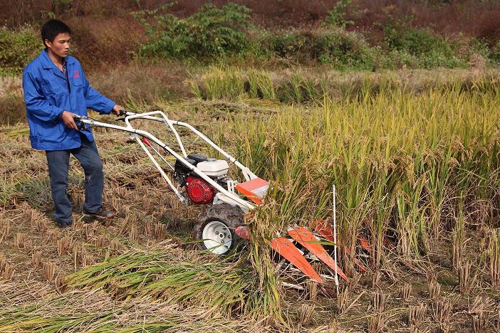 新型小型农业机械 小麦稻谷收割机图片_4