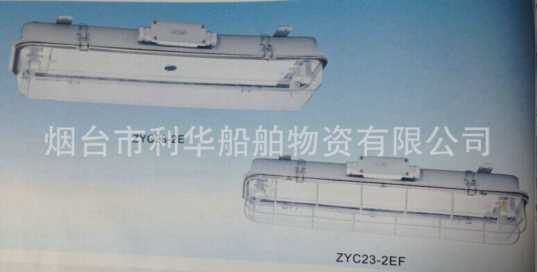 ZYC23-2E 熒光艙頂燈 110V 220V 單價252