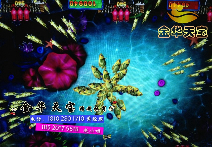 好多人玩的1000炮打鱼机 一网打尽蜻蜓之银鲨送福捕鱼机 打鱼机