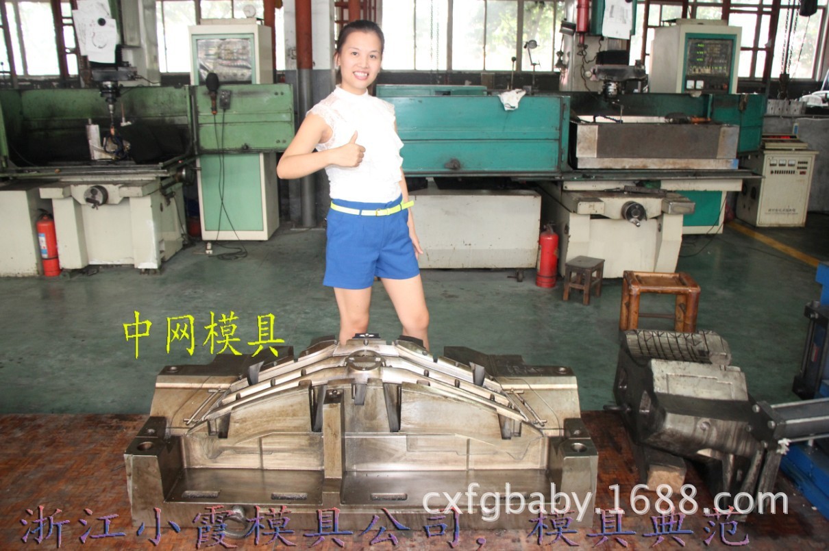 浙江小霞模具加工中的模具 (5)