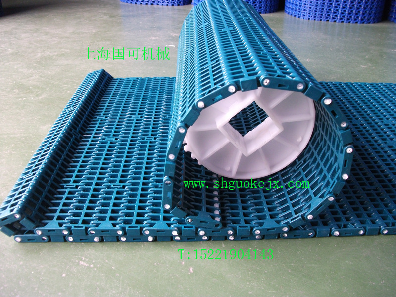 1000平格型网带配链轮-2