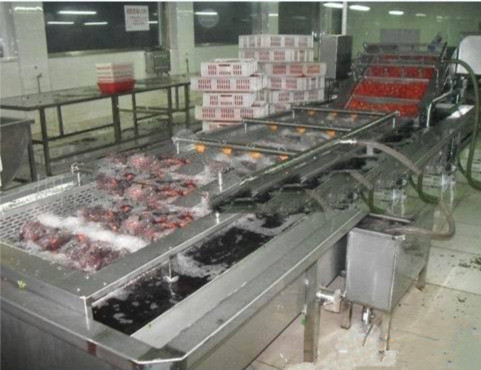 366202206_687003837_副本