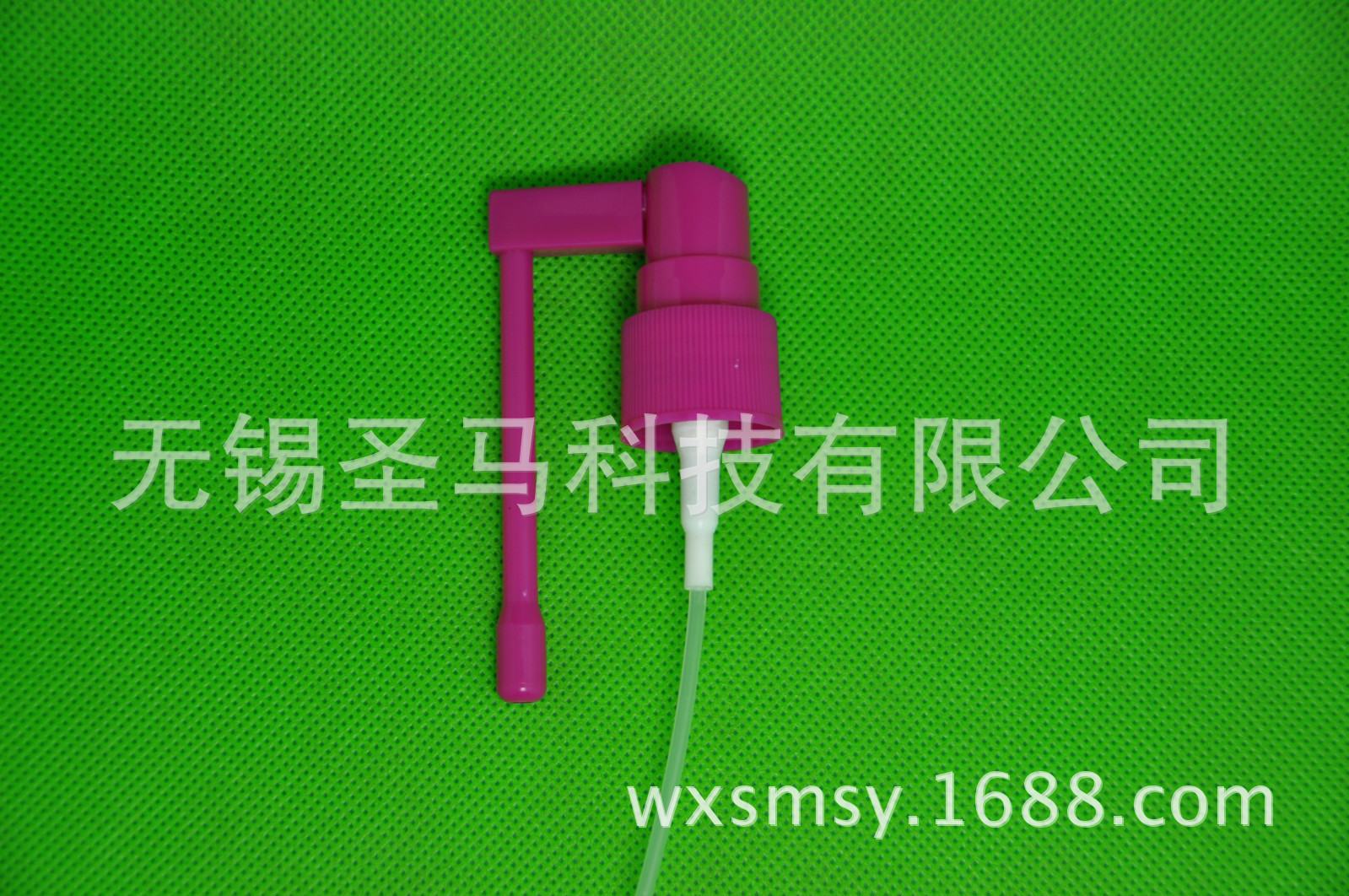 DSC_1319_meitu_2