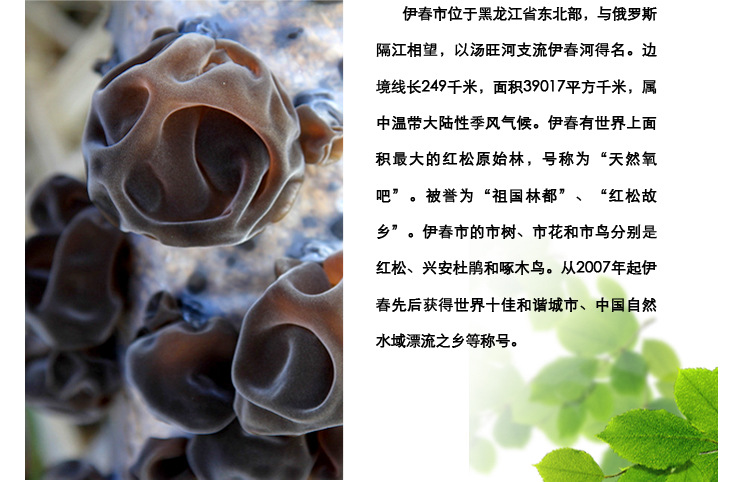 东北特产 大兴安岭伊春野生黑木耳糕 森骄有机零食 休闲食品批发