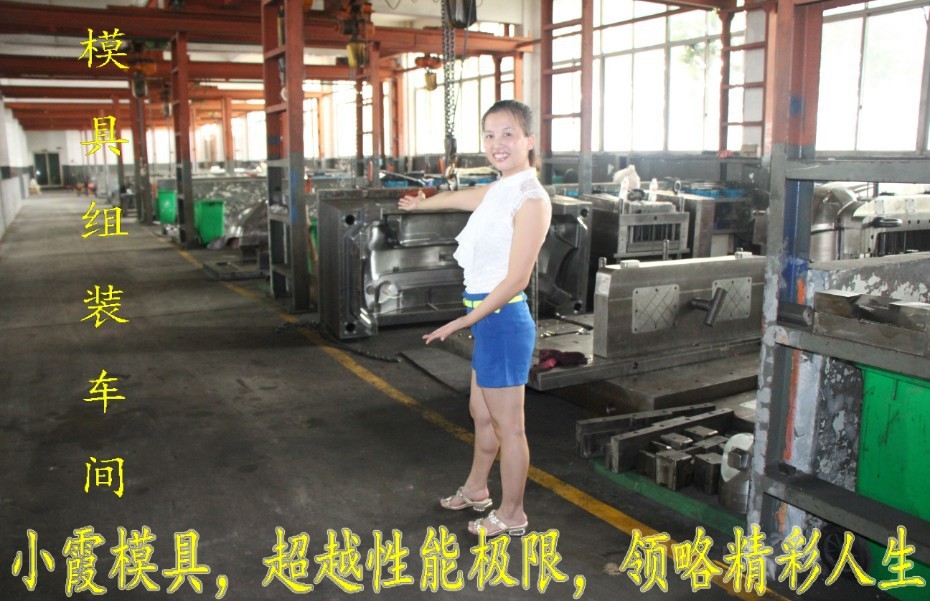 浙江小霞模具车间 (50)