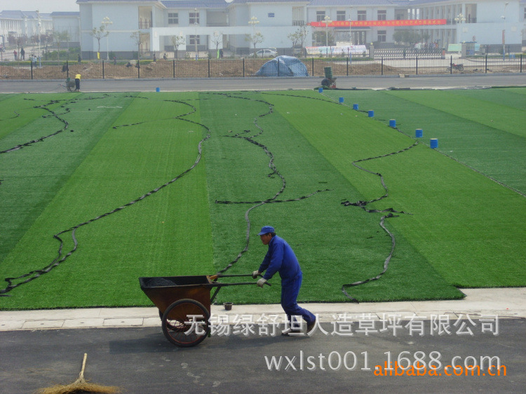 310033803_1777533011