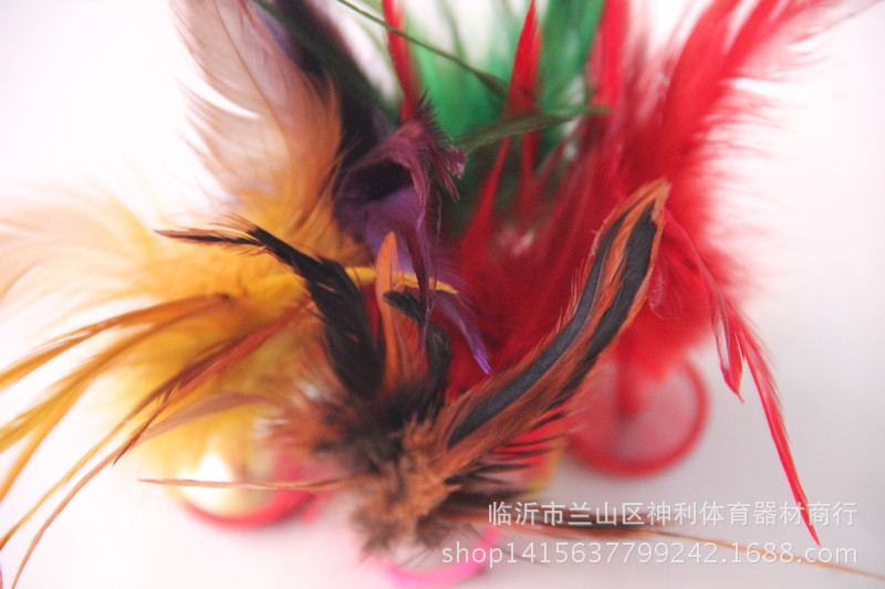 照片 031