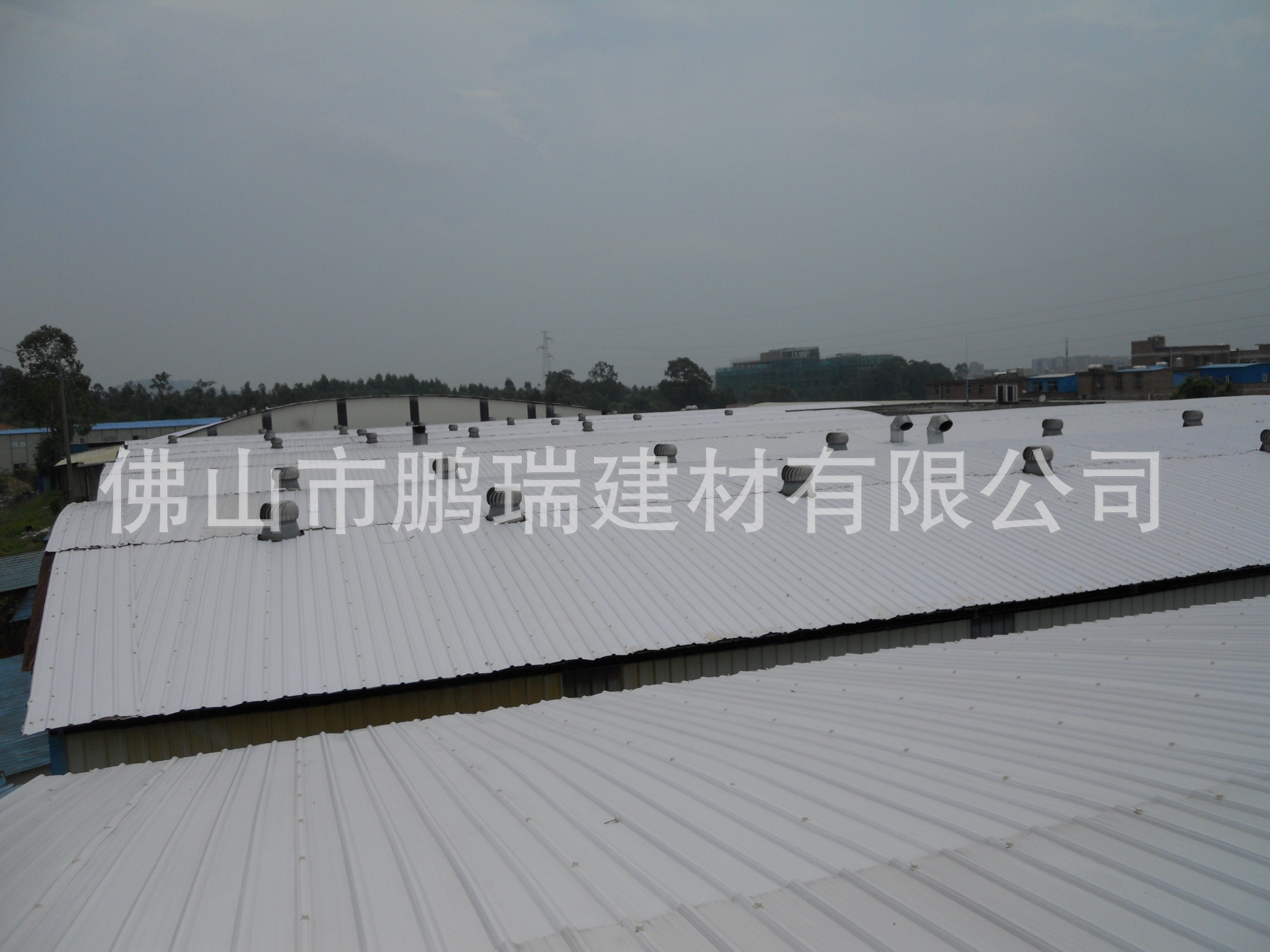 DSCN1890