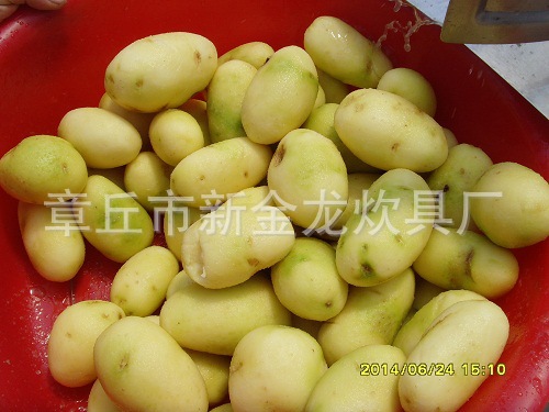 TP系列土豆芋头脱皮机