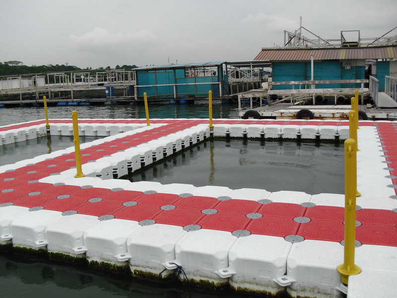 T2TcmbXaVXXXXXXXXX_!!50937506