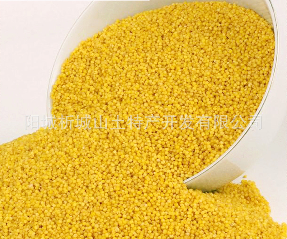 高粱,粟,黍-批发供应山西晋城阳城特产析城山3kg礼盒