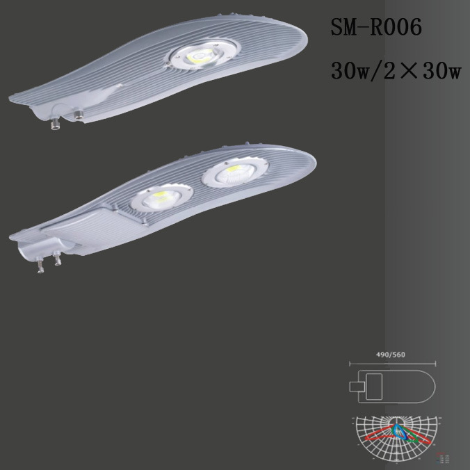 SM-R006