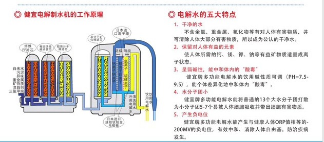 电解水机的五大特点