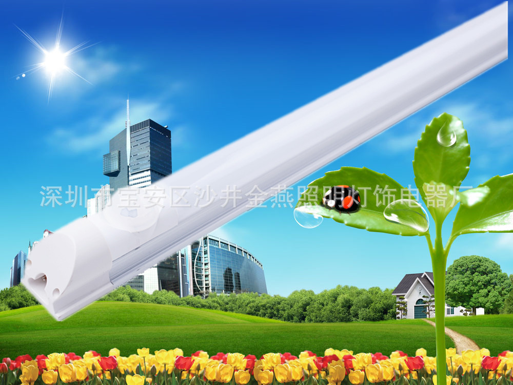 1096439330_1710778828