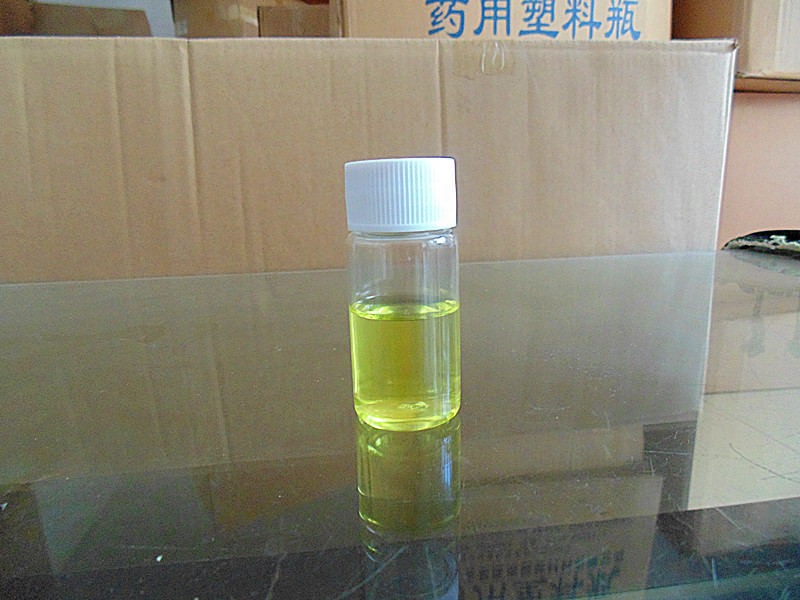 DSC00864_副本