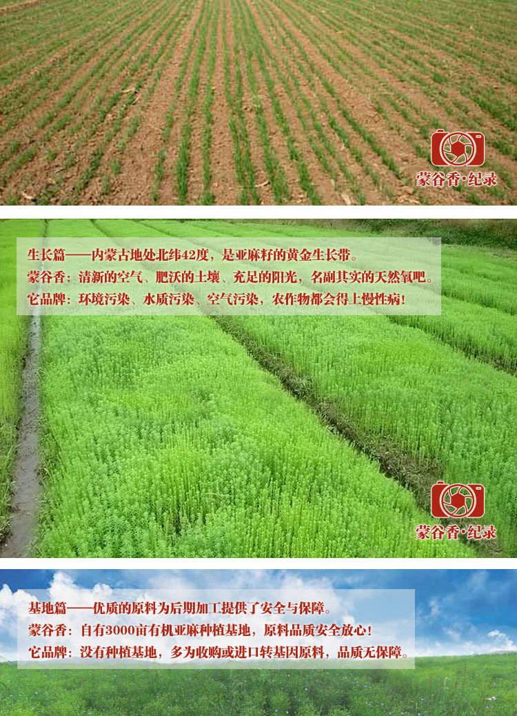 專業(yè)生產(chǎn)供應(yīng)內(nèi)蒙古谷香脫蠟冷榨亞麻籽油 優(yōu)質(zhì)含量高亞麻籽油