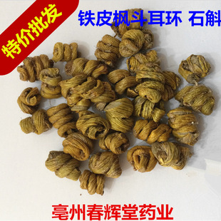 批发供应 铁皮石斛 耳环石斛 枫斗石斛 保证质量 假一罚十