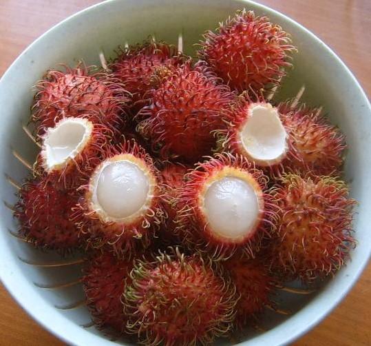 水果品种:红毛丹