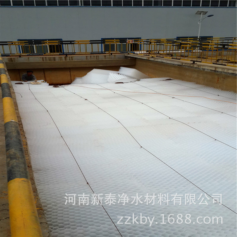 蜂窝斜管234 (16)