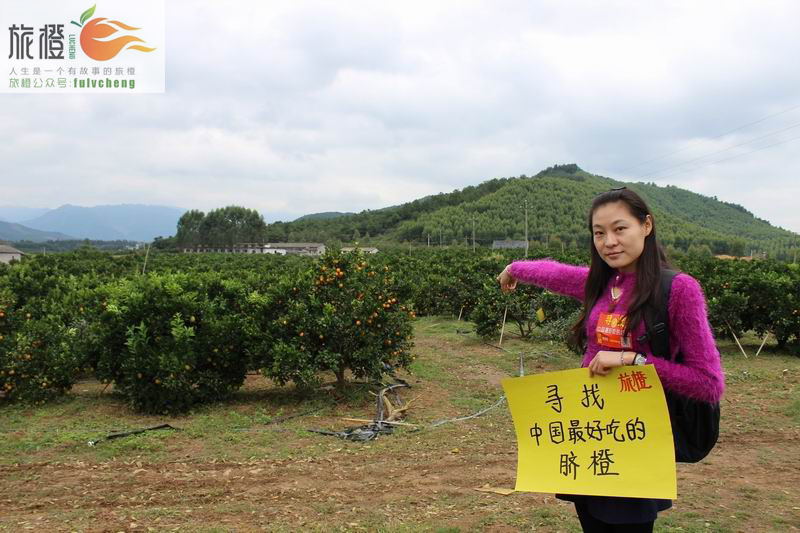 预售富川脐橙 橙妹推荐旅橙 新鲜水果脐橙赛赣南脐橙只有富川脐橙