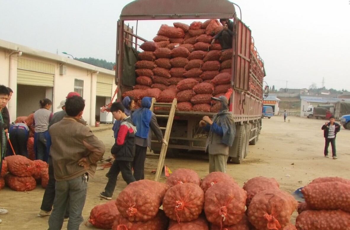 QQ图片20140914213750