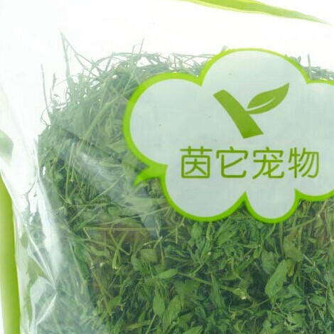 苜蓿?00G1