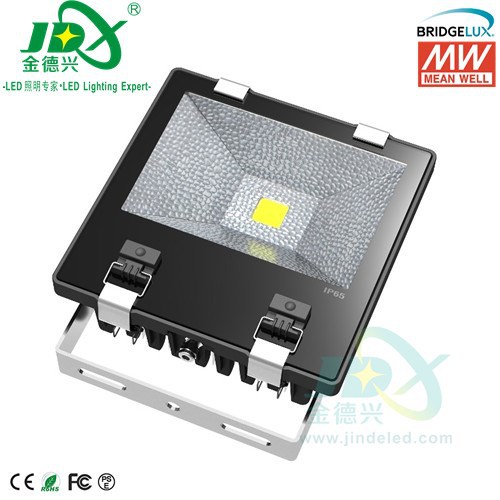 JDFL07003- 70W Bridgelux Meanw