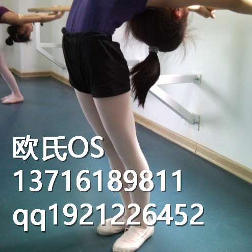 舞蹈练功房地胶_副本