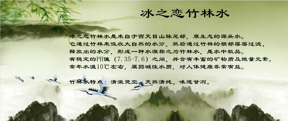 廠家直銷 600ml特級上海冰之戀鹽汽水 特價正品鹽汽水