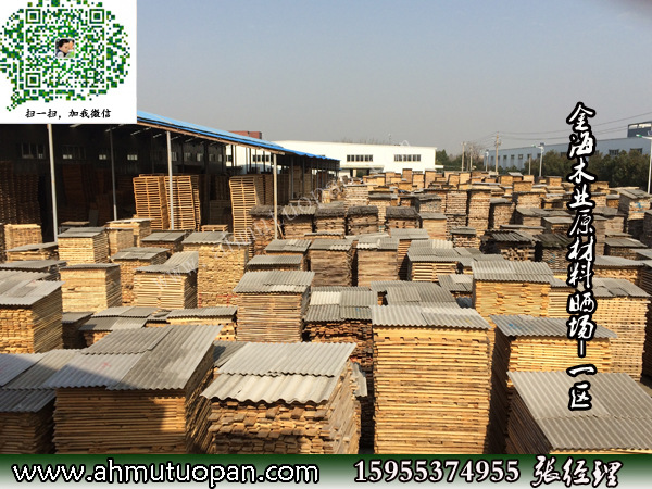 金海木业原材料晒场-一区